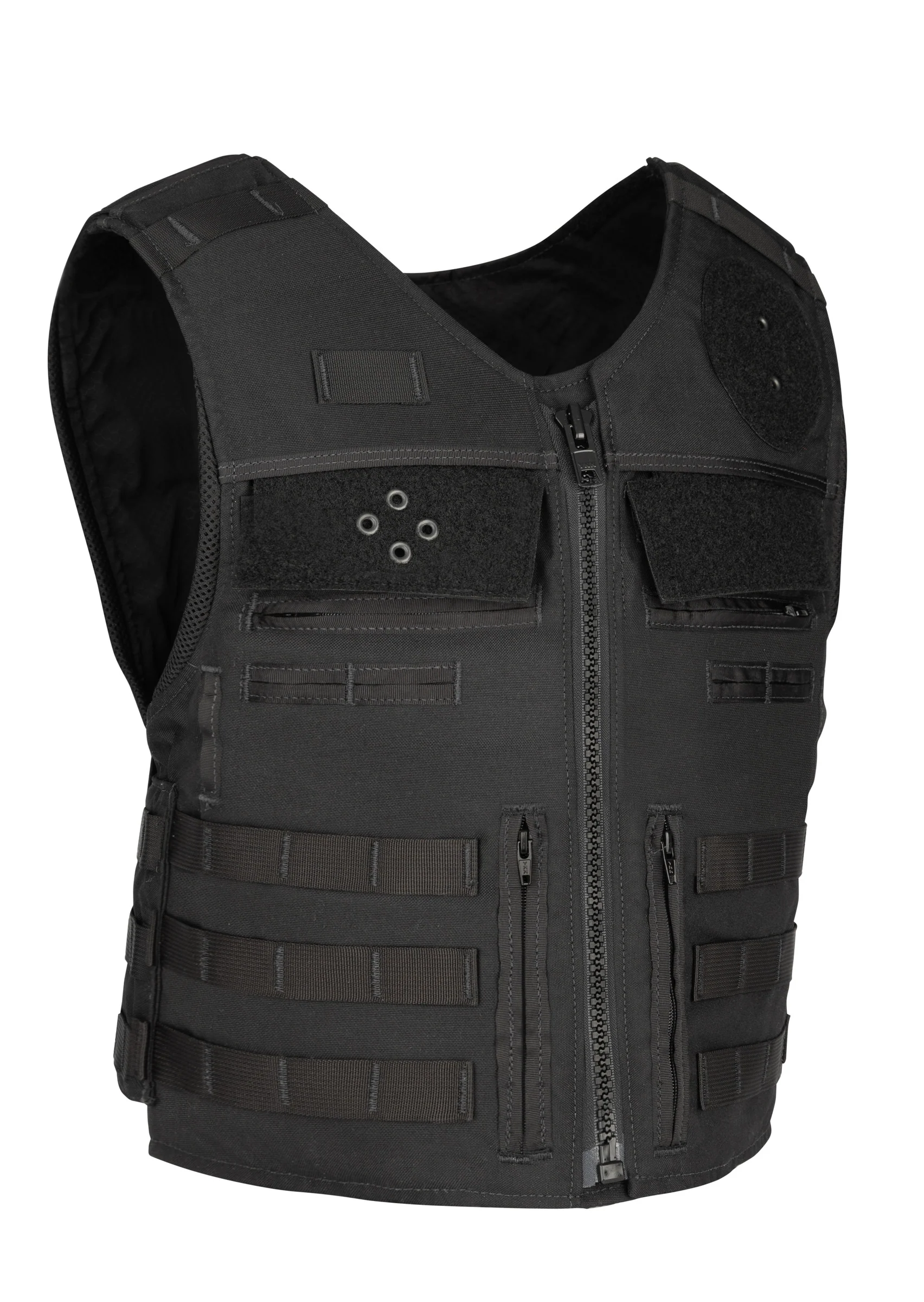 Bothell Overt Carrier - Image 2